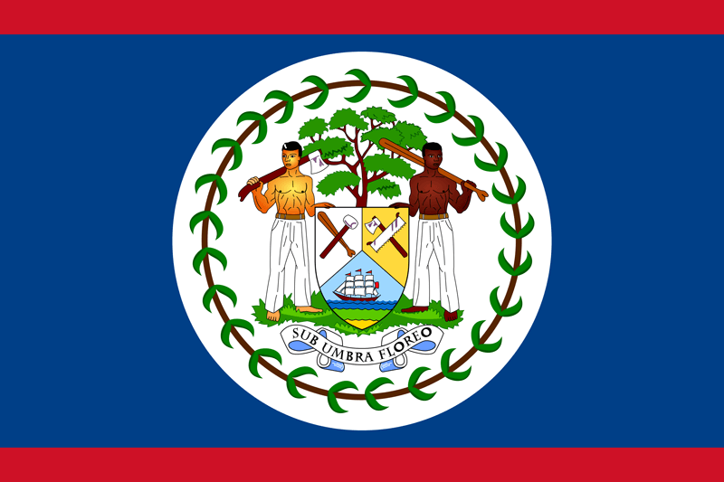 flag-800